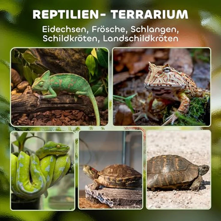 PawHut Terrarium für Reptilien, Glasterrarium 48L mit Frontbelüftung und ausbruchsicherem Drehverschluss, Reptilienzuchtbox für Amphibien und Spinnen, Schwarz 50 x 30 x 35 cm – Bild 3