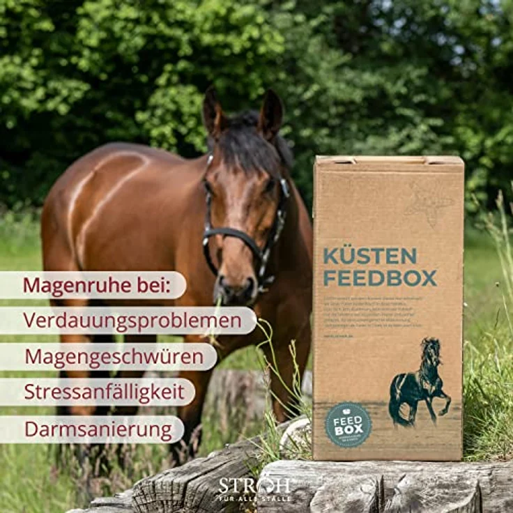 STRÖH Magenruhe Pferd, 12kg Feedbox für Magen, Darm & Verdauung, Mineralfutter mit Bierhefe, Sanddorn & Vanille – Bild 4