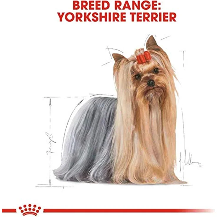 Royal Canin BHN Yorkshire Terrier Adult, Hunde-Trockenfutter 7,5kg für Fitness und Gesundheit – Bild 5