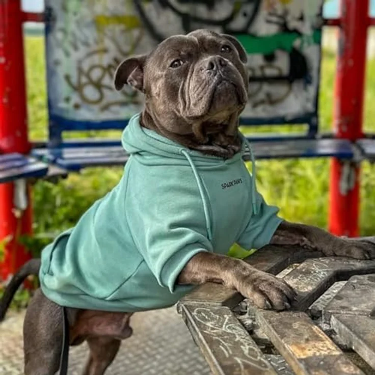 Spark Paws Hunde Kapuzenpullover – Premium-Qualität, weicher Butter-Stretch-Stoff, beruhigendes Fleece-Innenfutter, Leinenöffnungsdesign, Teal, XL – Bild 2