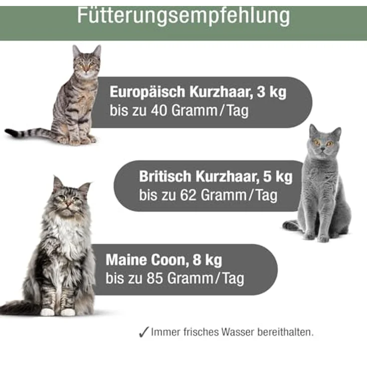 PLATINUM Katzenfutter MeatCrisp Sterilised Chicken, 1,5kg Trockenfutter mit 83% Frischfleisch, crispy Biss, kalorienreduziert – Bild 5