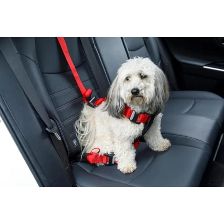 Zolux Travel Safe Auto-Sicherheitsgeschirr für Hunde, ISOFIX + Top Tether, Crash geprüft ECE R44/R129, Größe M (8-25kg), Rot, 5-Punkt-verstellbar, waschbar 30°C – Bild 4