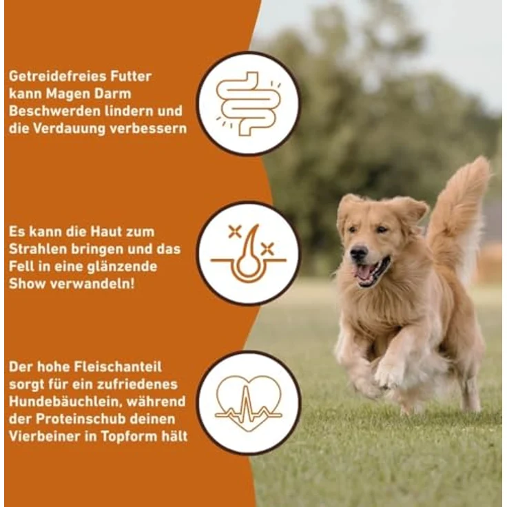 Wildfang® Hundefutter Trocken - Getreidefreies Premiumfutter (6 kg, Angus mit Süßkartoffel, 50% Rind, Omega-3 & Omega-6) – Bild 4