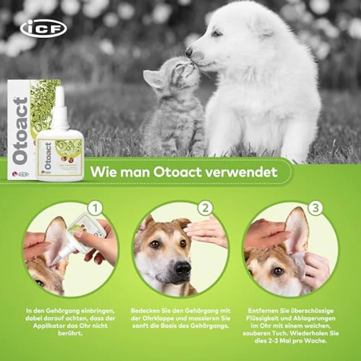 ICF Otoact Ohrenreiniger für Hunde & Katzen, sanfte Ohrreinigungslösung, entfernt Ohrenschmalz & unterstützt Ohrenhygiene, 100ml – Bild 3