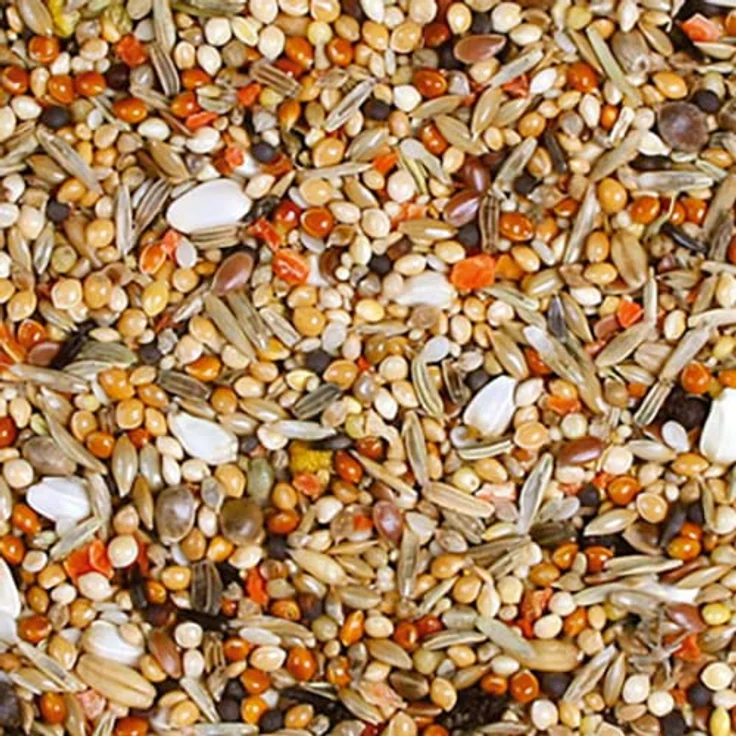 JR FARM Birds Individual Sperlings-Langflügelpapa, artgerechtes Kleintierfutter mit wertvollen Saaten, 1 kg – Bild 2