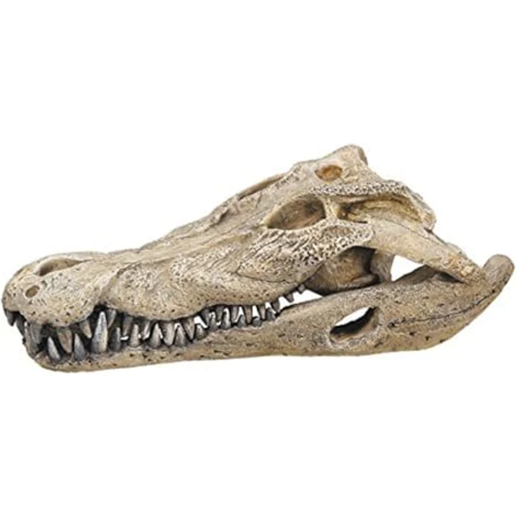 Nobby Aqua Ornaments Krokodil Schädel, detailgetreue Aquarium Dekoration aus ungiftigem Polyresin, geeignet für Süß- und Meerwasser – Bild 2