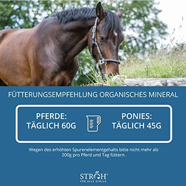 STRÖH Organisches Mineral für Pferde (5kg) • Mineralfutter mit Calcium, Eisen, Kupfer, Kobalt, Mangan & Magnesium für optimale Vitalität und Wohlbefinden – Bild 5