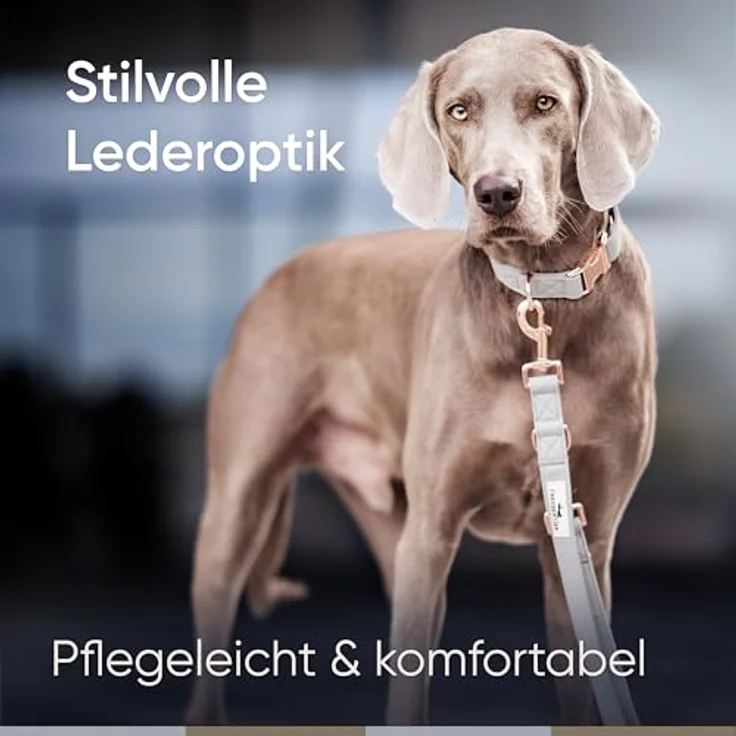 FREUDENTIER Hundehalsband aus veganem Leder, verstellbar und robust, für mittelgroße & große Hunde, inklusive Geschenkbeutel – Bild 2
