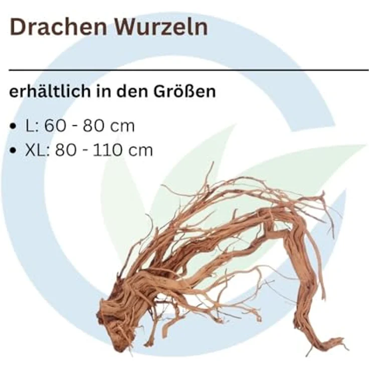 Aquaone Drachen Wurzel L, Aquarium Wurzel 60-80 cm mit filigranen Verästelungen und ausgeprägter Maserung – Bild 2