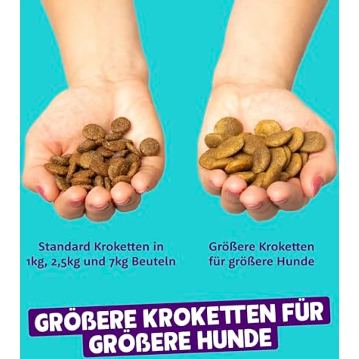 Edgard & Cooper Frischer norwegischer Lachs 2,5kg, Hunde-Trockenfutter mit hochwertigem Protein und Omega 3, getreidefrei – Bild 6