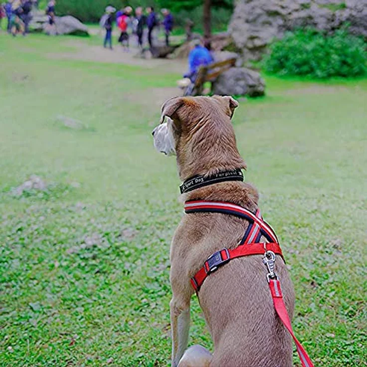 Ferplast Hundegeschirr Daytona Cross, verstellbares Nylon-Geschirr mit weicher Polsterung, reflektierenden Nähten und Magnetschnalle, schwarz – Bild 4