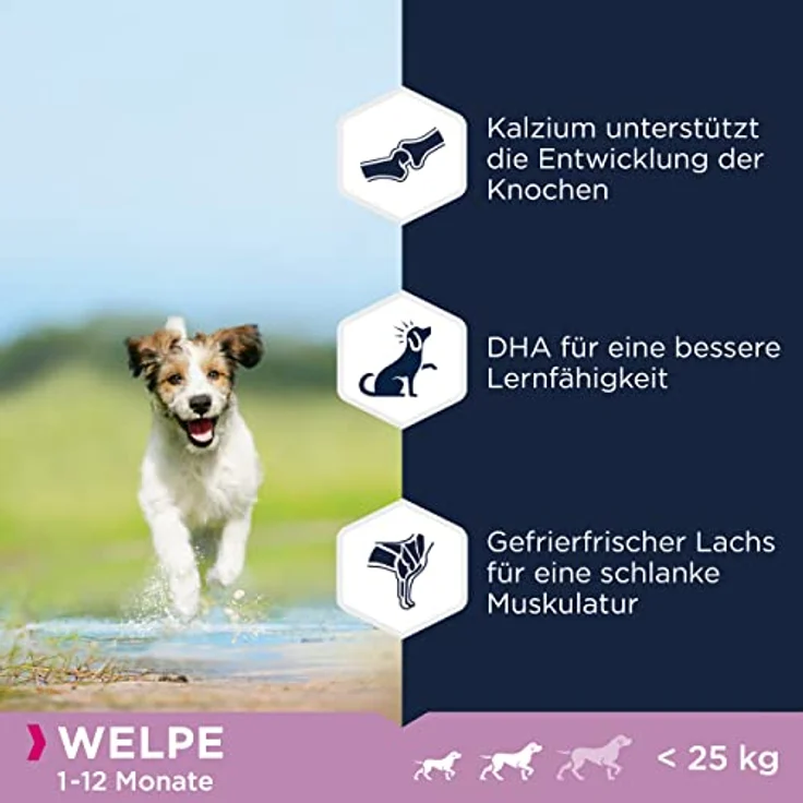 Eukanuba Welpenfutter getreidefrei mit Fisch für kleine und mittelgroße Rassen, 12 kg - Trockenfutter ohne Getreide für Junior Hunde, reich an Seefisch und Lachs, unterstützt gesundes Wachstum und Lernfähigkeit – Bild 4