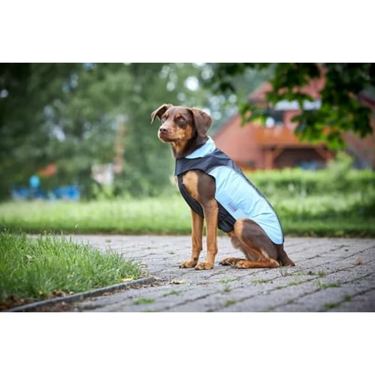 WOLTERS Regenjacke Easy Rain, Hundebekleidung Größe 42 cm, Farbe Blau – Bild 2
