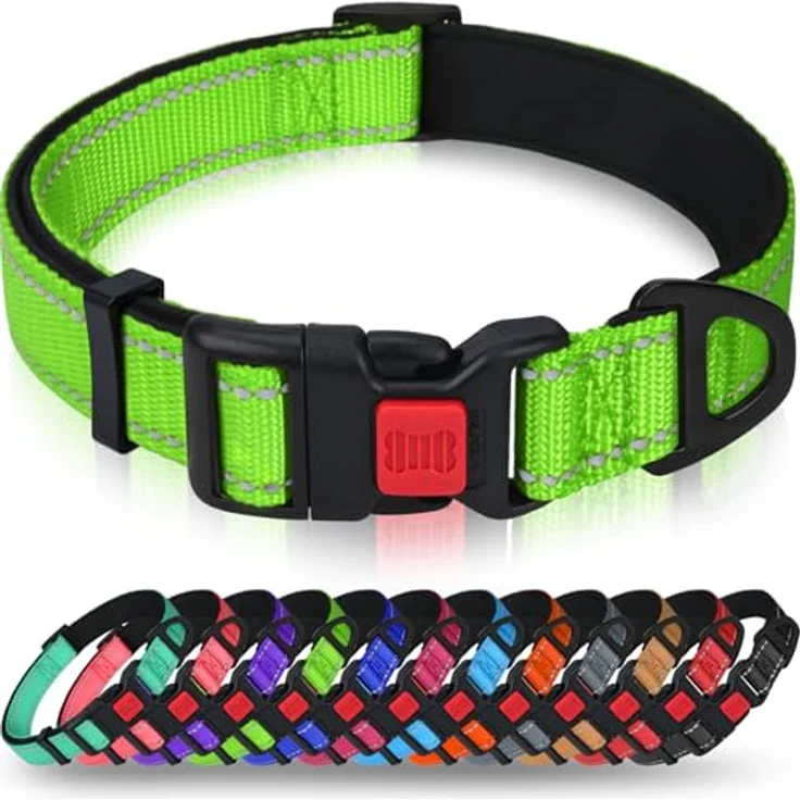 Taglory Hundehalsband, Weich Gepolstertes Neopren Nylon für Welpen, Verstellbar und Reflektierend, Grün – Bild 1