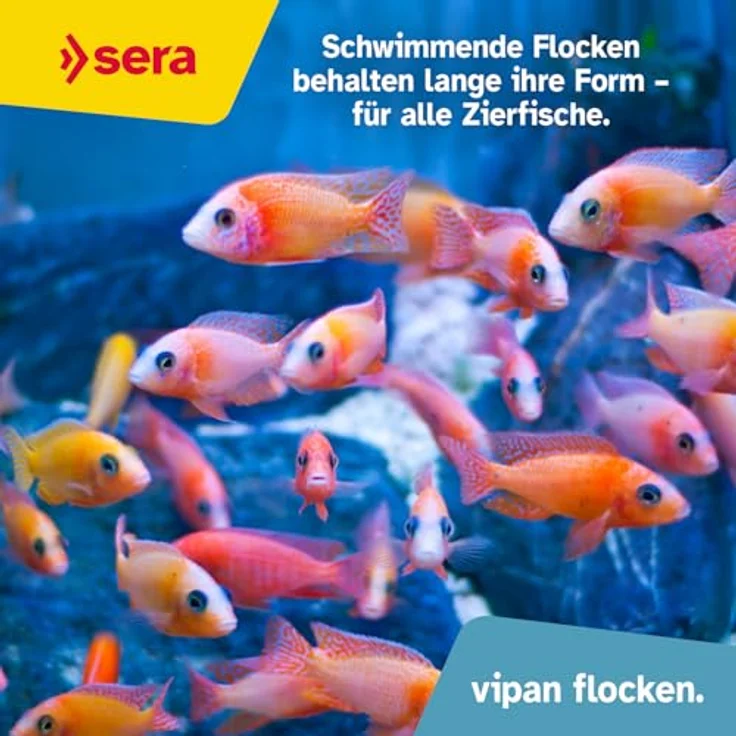 sera Vipan Flakes, Fischfutter für Zierfische mit 4% Insektenmehl, 100 ml | Naturnahe Ernährung & gesundes Wachstum – Bild 4