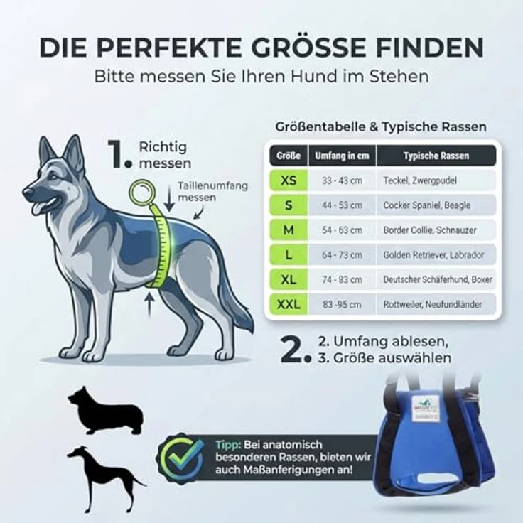 Nature Pet © Tragehilfe Hund hinten, Verstellbarer Hunde Tragegurt für ältere und operierte Vierbeiner, Unterstützung bis 40 kg, M, Schwarz – Bild 4