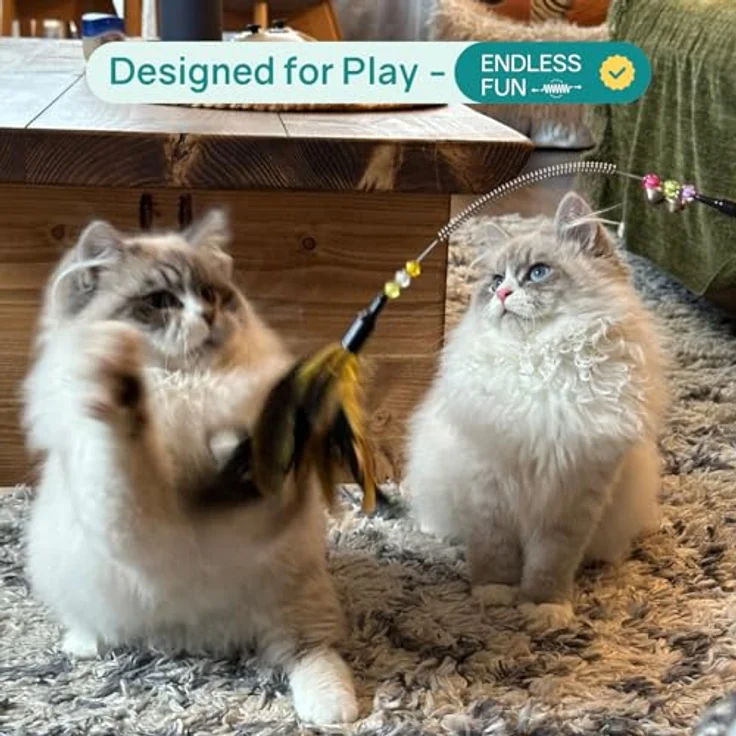 GingerUPer Katzenspielzeug Set, Interaktive Katzenangel mit Feder und Spielbällen für kleine und große Katzen, rot – Bild 3