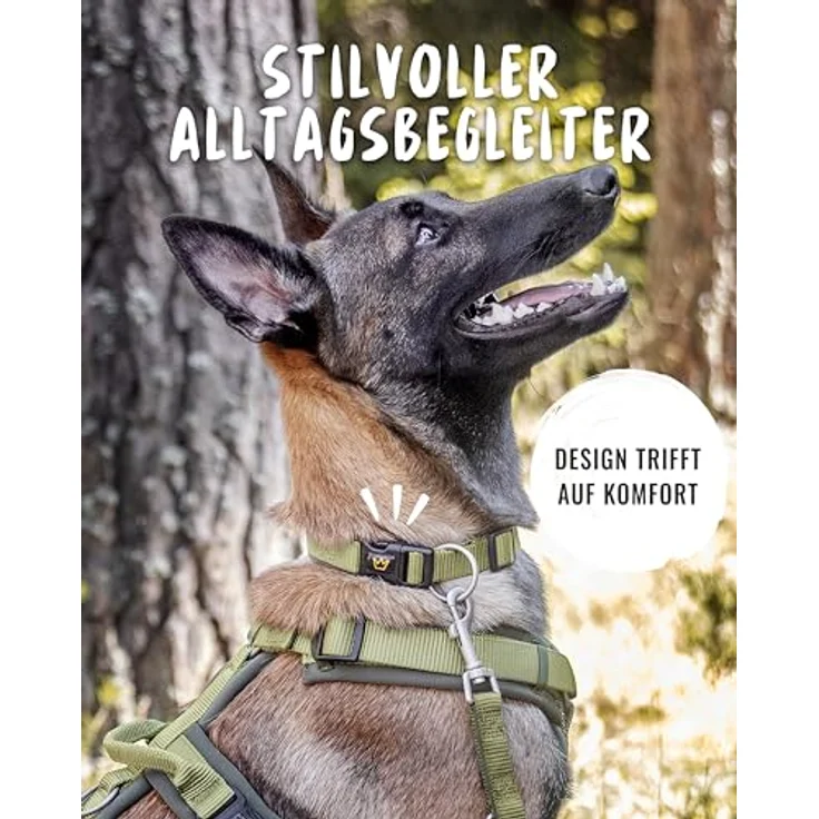Rudelkönig Hundehalsband Bella, Verstellbares Nylon-Halsband für kleine Hunde und Welpen, Komfort-Neopren, Khaki – Bild 5