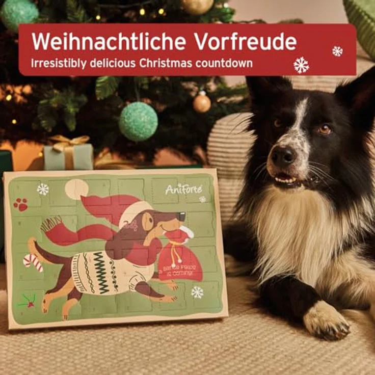 AniForte Adventskalender für Hunde 2025 - Natürliche getreidefreie Hundesnacks ohne Farb- & Konservierungsstoffe, mit kompostierbarer Zellstoff-Einlage, Maße L 33 x B 23 x H 3,5 cm – Bild 2