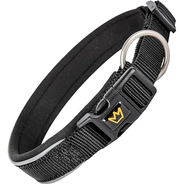 Rudelkönig Hundehalsband Paola, Verstellbares refl. Nylonhalsband für kleine Hunde und Welpen, schwarz