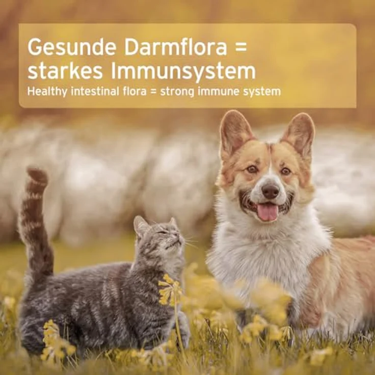 AniForte Heilmoor 750 g, Naturmoor für Hunde und Katzen zur Unterstützung der Verdauung und des Immunsystems, aus deutschen Mooren – Bild 7