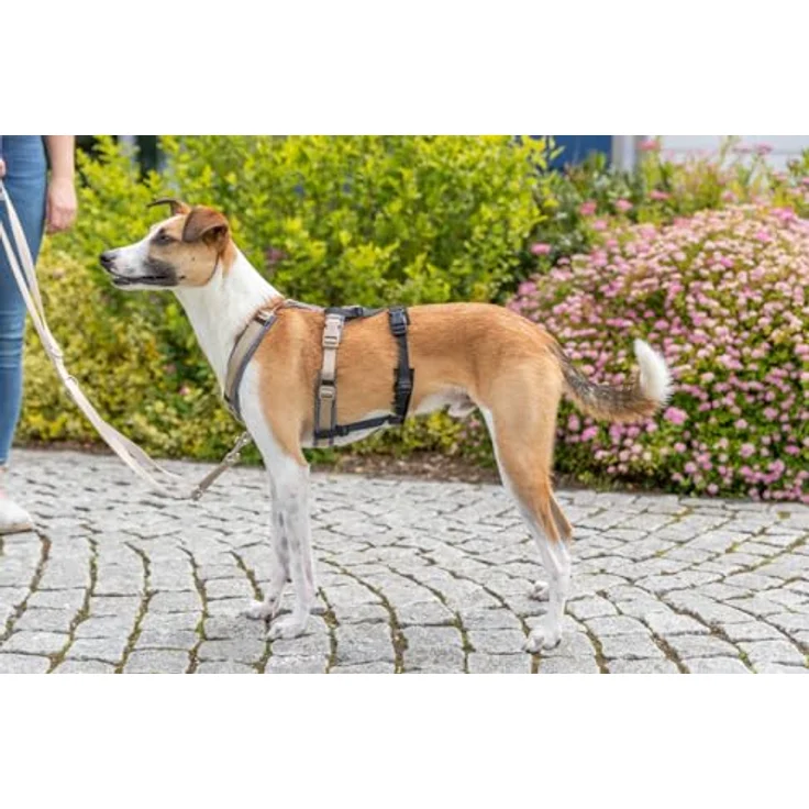 TRIXIE Panik-Adapter Stay für Geschirre, L–XL: 59–92 cm/25 mm, schwarz, mit Neopren-Polsterung und stufenloser Verstellbarkeit – Bild 6