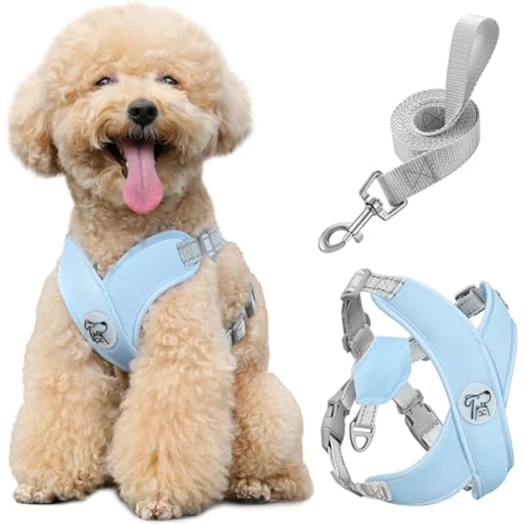 Pawaboo Hundegeschirr Set, X-Rahmen Anti Zug Brustgeschirr mit verstellbarer Leine, atmungsaktive Weste für kleine und mittelgroße Hunde, Größe M, Blau – Bild 1