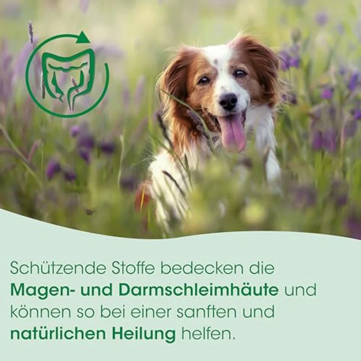 cdVet Magenschutz 200 g, Fütterungsbedingte Unterstützung zur Regeneration des Magen-Darm-Traktes – Bild 5