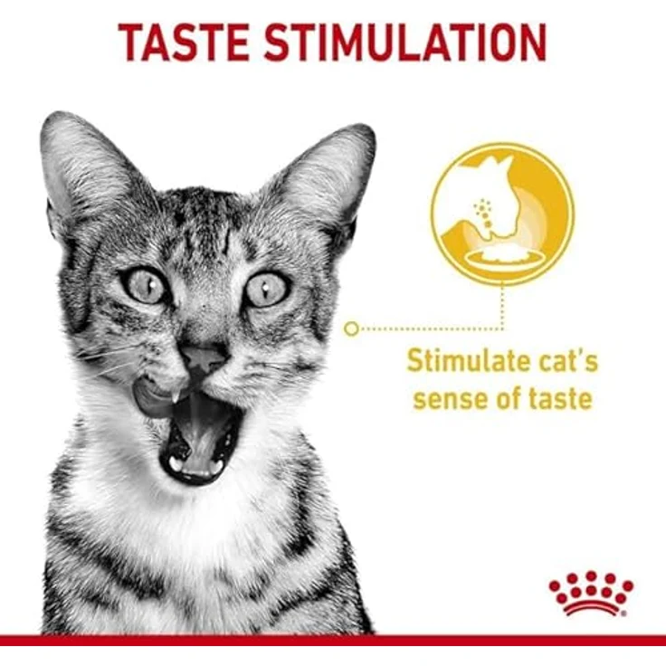 Royal Canin Sensory Taste in Soße, Katzen-Nassfutter mit Huhngeschmack und Röstaromen, 12 x 85 g – Bild 7