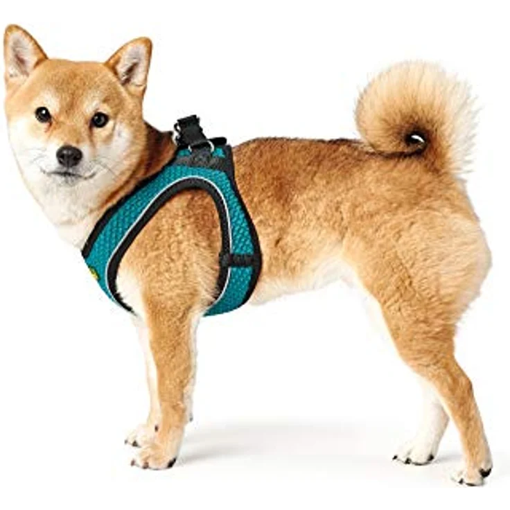 Hunter Hunde-Geschirr Hilo Comfort türkis M – Bild 7