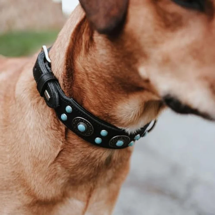Hunter Hunde-Halsband Sioux S-M – Bild 9