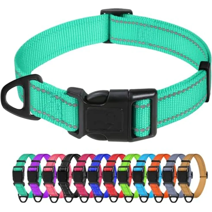 TagME Nylon Hundehalsband, Verstellbares Reflektierendes Hundehalsband mit Sicherheitsschnalle für kleine Hunde, Türkis, 1.5 cm Breite – Bild 1