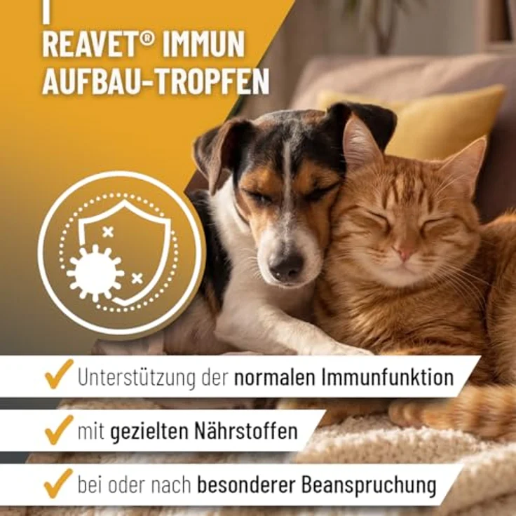 ReaVET Immun Aufbau-Tropfen für Hunde & Katzen, 100 ml, Multivitamin Liquid mit Vitamin C & Zink, zur Stärkung des Immunsystems und Abwehrkräfte, ohne Zusatzstoffe, hergestellt in Deutschland – Bild 2