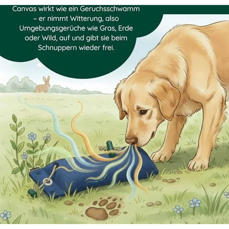 Romneys Standard-Dummy 500g Hundeapportel, extrem robust und schwimmfähig, Blau – Bild 5