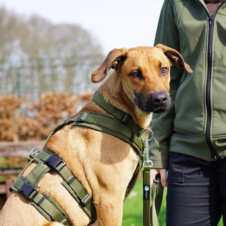 AnnyX Hunde-Sicherheitsgeschirr Brustgeschirr Safety Fun - Sicherheitsgeschirr, Nylon, Individuell einstellbar – Bild 5