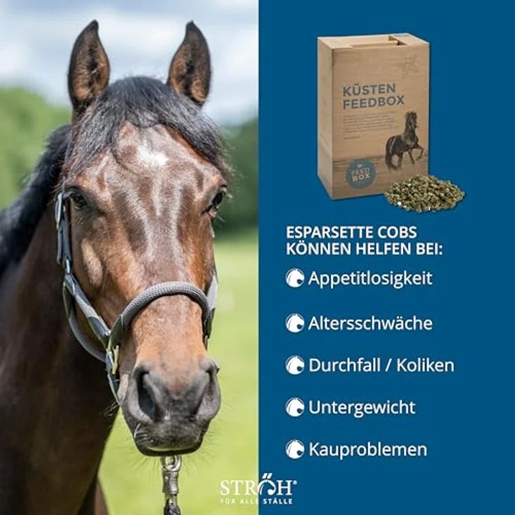 STRÖH Küsten Esparsette Cobs für Pferde, 30kg Feedbox, magenfreundliches Rau- & Kraftfutter mit Aminosäuren & Vitaminen – Bild 3