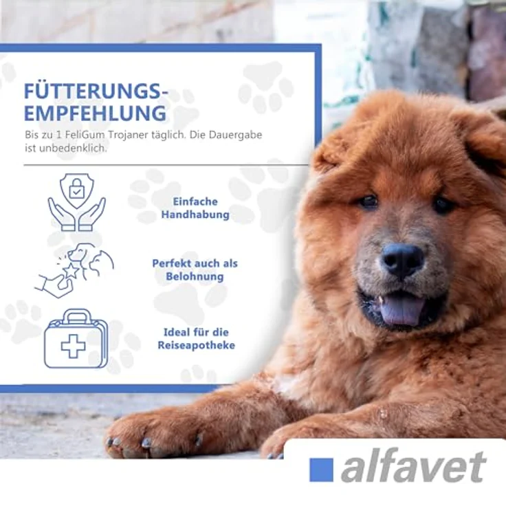 alfavet FeliGum Trojaner, Formbare Leckerli für Katzen & Hunde, Stressfreie Tablettengabe, 6 x 10 g – Bild 5