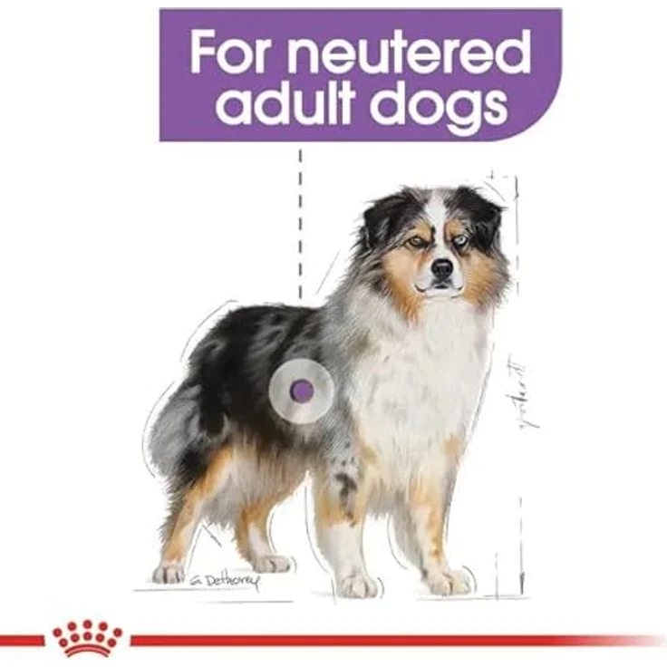 Royal Canin Sterilised Medium, Trockenfutter für kastrierte mittelgroße Hunde, 12kg – Bild 2