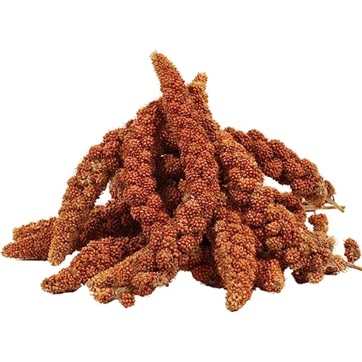 Lyra Pet® Kolbenhirse rot 15 kg, Handverlesenes Vogelfutter für Sittiche & Kanarienvögel, Natürliche Nährstoffquelle, Ideal für Zier- und Wildvögel – Bild 1