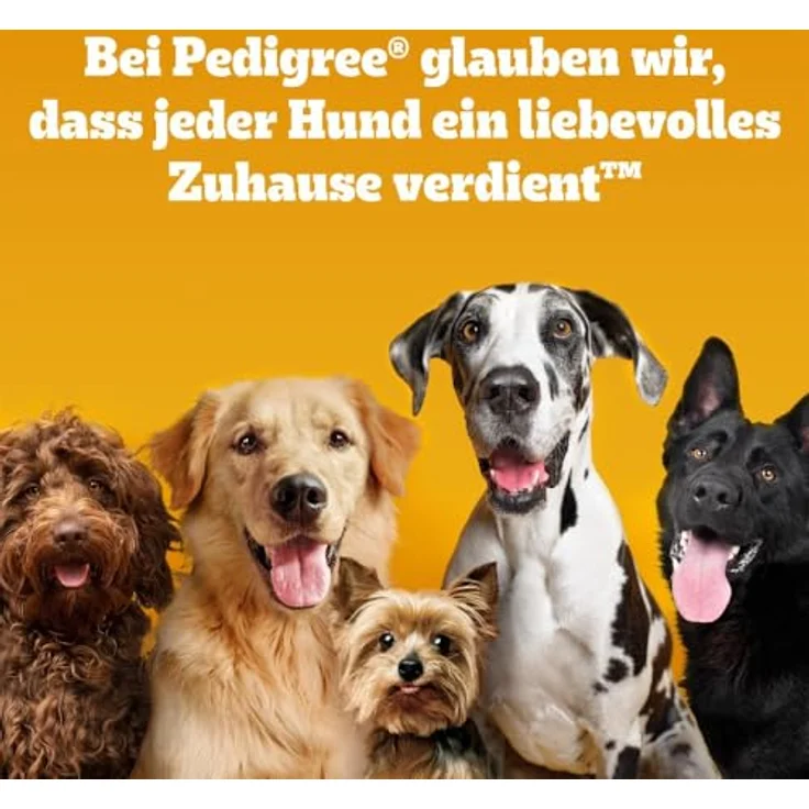 Pedigree Leckerbissen Kau-Happen mit Huhn, 130g, Hundesnack mit Vitaminen für alle Lebensphasen – Bild 13