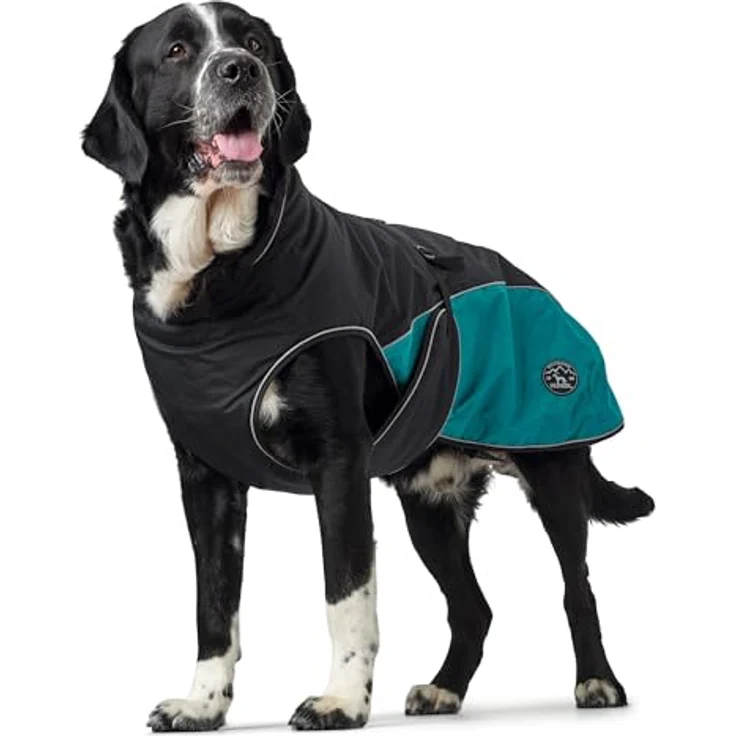 Hunter Hunde-Mantel Uppsala Allrounder anthrazit-petrol 40 cm – Bild 5