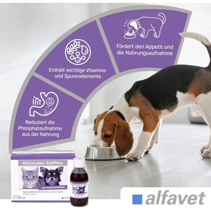 Alfavet ReConvales AntiPhos, Ergänzungsfuttermittel für Katzen und kleine Hunde, 3 x 90 ml, mit Phosphatbinder und Calciumcarbonat zur Nierenunterstützung – Bild 2