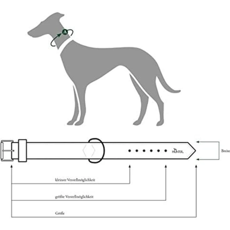 Hunter Hunde-Halsband Basic schwarz S – Bild 4