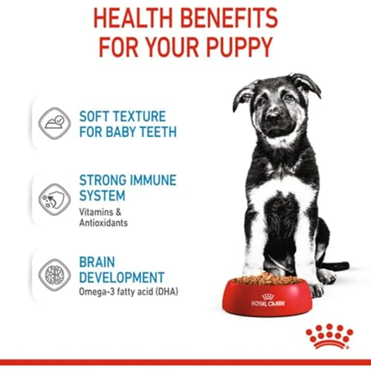 Royal Canin MAXI PUPPY, Nassfutter für große Hunde, Alleinfuttermittel, 10x140g, für Welpen bis 15 Monate – Bild 11