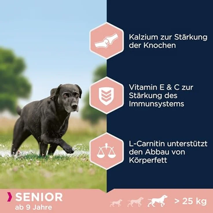 Eukanuba Hundefutter mit frischem Huhn für große Rassen, Premium Trockenfutter für Senior Hunde ab 9 Jahren, 3 kg – Bild 4