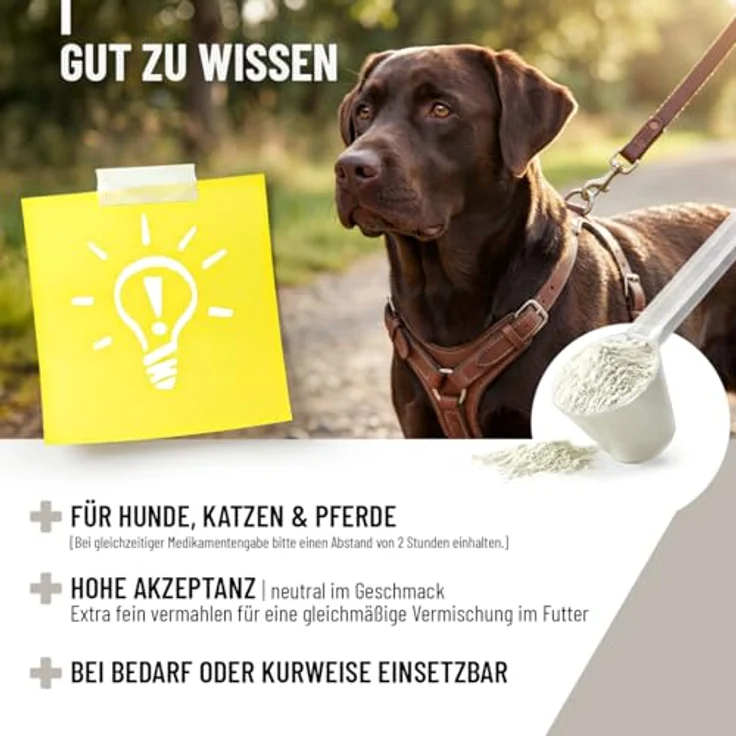 REAVET Zeolith VET 700g, mineralische Ergänzung für Hunde, Katzen & Pferde, unterstützt die Verdauung, 94% Klinoptilolith, geruchs- & geschmacksneutral, fein vermahlen – Bild 6