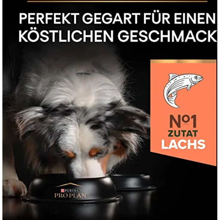 PURINA PRO PLAN Medium Adult Sensitive Skin, Trockenfutter für mittelgroße Hunde mit Lachs, 3 kg – Bild 4