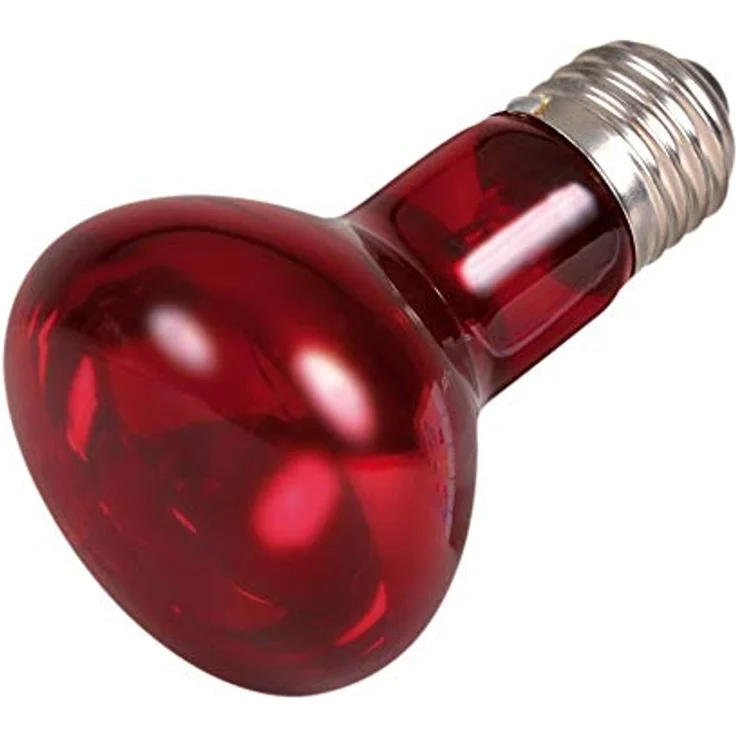 Trixie 76094 Infrarot Wärme-Spotlampe, 35 W für Terrarien, ø 63 × 100 mm, zur Wärmeregulierung, ideal für Reptilienhaltung – Bild 1