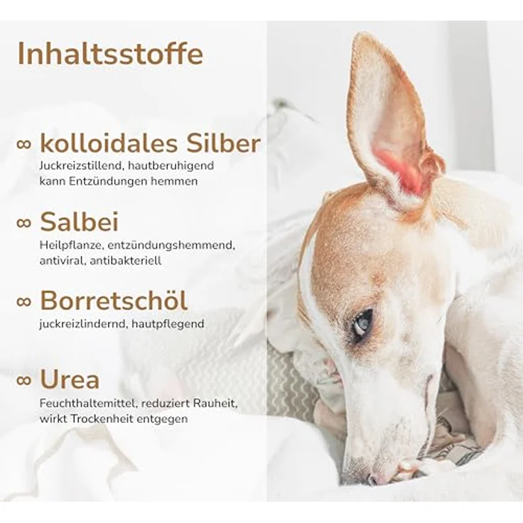 GREENDOOR Ohrenpflege für Hunde mit kolloidalem Silber, 50 ml, natürliche Formel mit Urea, Borretschöl und Salbeiöl, Glasflasche mit Pipette, sanfte Pflege und Akutanwendung – Bild 3