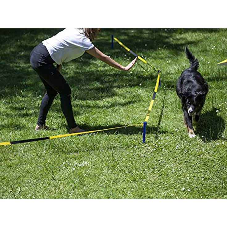 Procyon Tier-Intelligenzspielzeug Longier-Set für Hunde, Kunststoff - Trainingsform zur Festigung der Bindung und Kommunikation, Nylonmaterial, 10m Nylonschnur, 8x Nylongurt, 9x Erdnägel – Bild 7